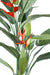 Kunstig Heliconia-Plante Til Indvendig Dekoration