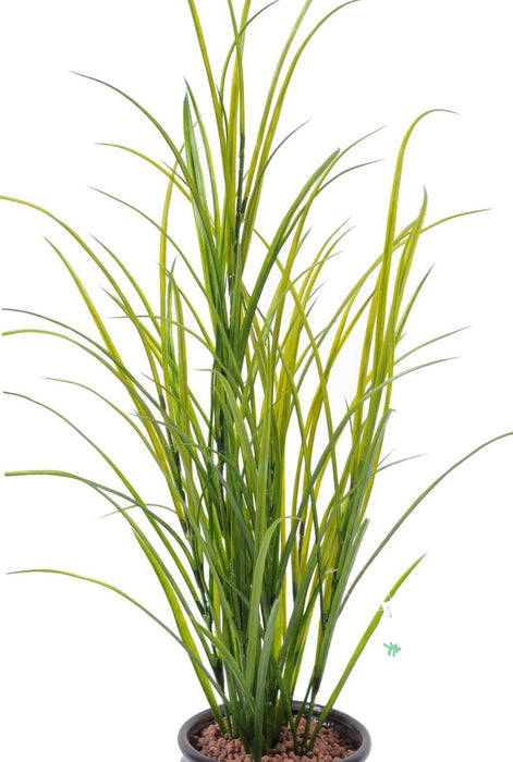 Kunstigt Plantegræs 100Cm Plast