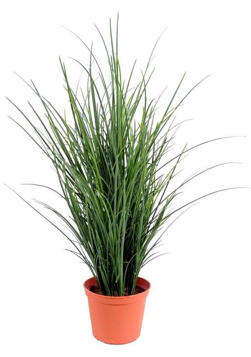 Kunstig Plante Fint Græs 60 Cm I Potte