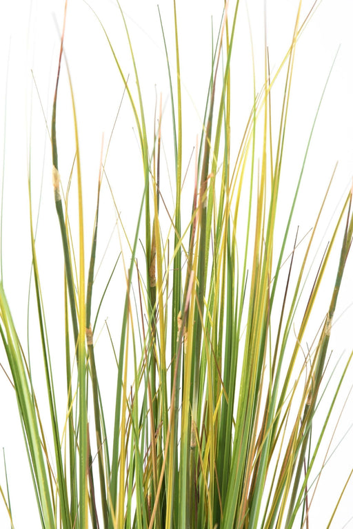 Kunstgræs Plante Løg Græs 120Cm