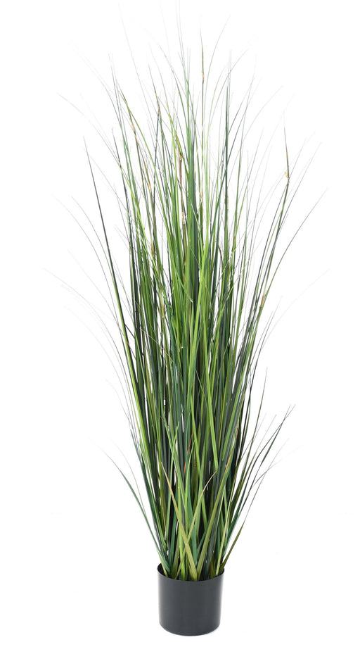 Kunstgræs Plante Løg Græs 150Cm Sort Pot