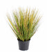 Kunstigt Plante Græs Løg Græs 75 Cm Grøn Gul