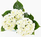 Kunstig Blomstrende Hortensiaplante Til Dekoration