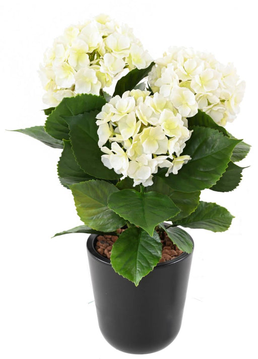 Kunstig Blomstrende Hortensiaplante Til Dekoration