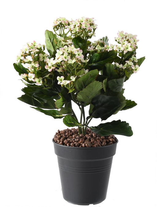 Kunstig Plante Kalanchoe 25Cm Hvid På Stake