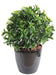 Kunstig Laurbærplante 55 Cm UV-Resistent