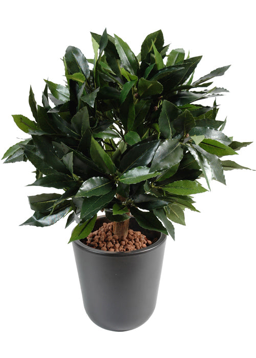 Kunstig Plante Laurbærbold 25 Cm Interiør Dekoration