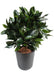 Kunstig Plante Laurbærbold 25 Cm Interiør Dekoration