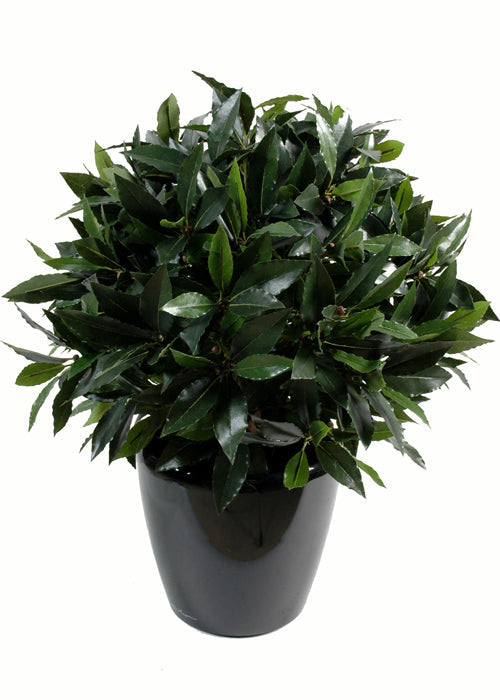 Kunstig Plante Laurbærkugle 40 Cm
