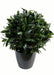 Kunstig Plante Laurbærkugle 40 Cm