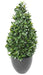 Kunstig Plante Laurbær Nobilis 130 Cm Grøn