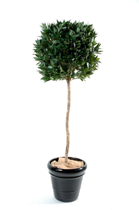 Kunstig Plante Laurbærstængel Bold 150Cm Grøn