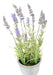 Kunstig Lavendelplante I Dekorativ Potte 40Cm