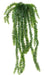 Kunstig Lycopodium Plant H.70Cm Til Dekoration