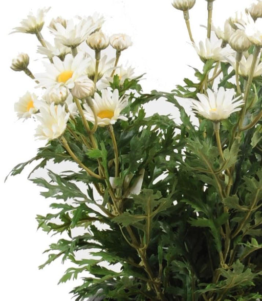 Artificial Daisy Plant 40Cm Hvid Til Indendørs