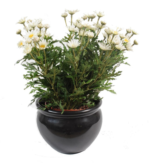 Artificial Daisy Plant 40Cm Hvid Til Indendørs