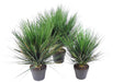 Kunstig Plante Løg Græs H.60Cm I Pot