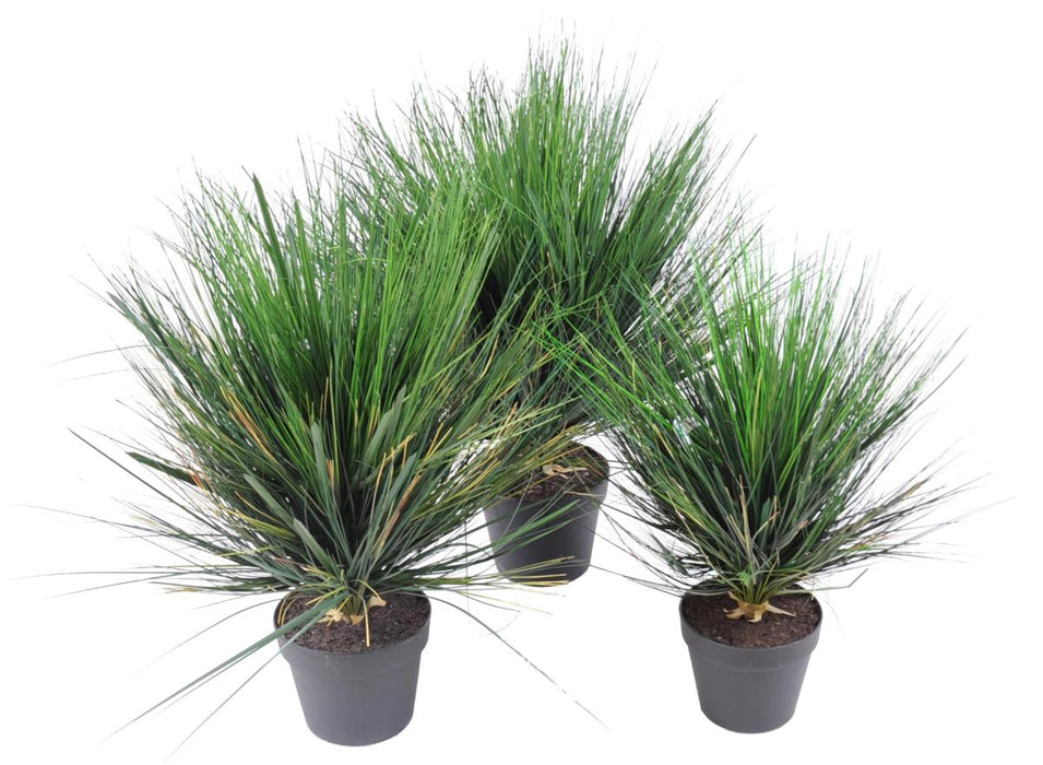 Kunstig Plante Løg Græs H.60Cm I Pot