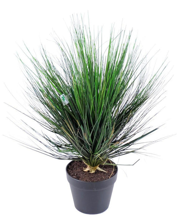 Kunstig Plante Løg Græs H.60Cm I Pot