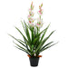 Kunstig Cymbidium Orkidé Plante Med Potte 100 Cm Grøn