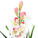 Kunstig Cymbidium Orkidé Plante Med Potte 100 Cm Grøn