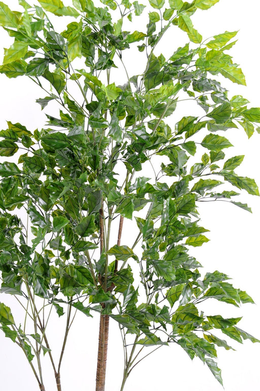 Kunstigt Rosentræ Plante Til Terrasse 175 Cm