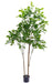 Kunstigt Rosentræ Plante Til Terrasse 175 Cm