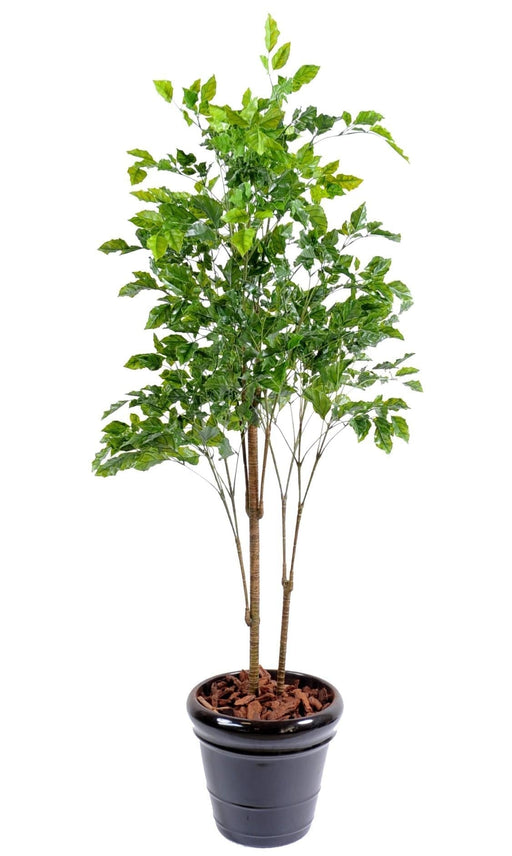 Kunstigt Rosentræ Plante Til Terrasse 175 Cm