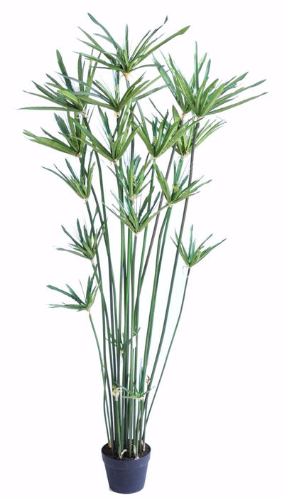 Kunstig Papyrus Plante 150 Cm I Potte