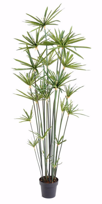 Kunstig Papyrus Plante 180 Cm I Grøn Potte