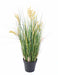 Kunstig Papyrus Plante 90 Cm Med Blomster I Potte