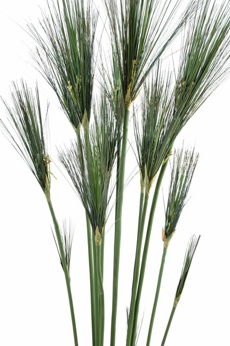 Kunstig Plante Papyrus Cyperus Indendørs 155Cm