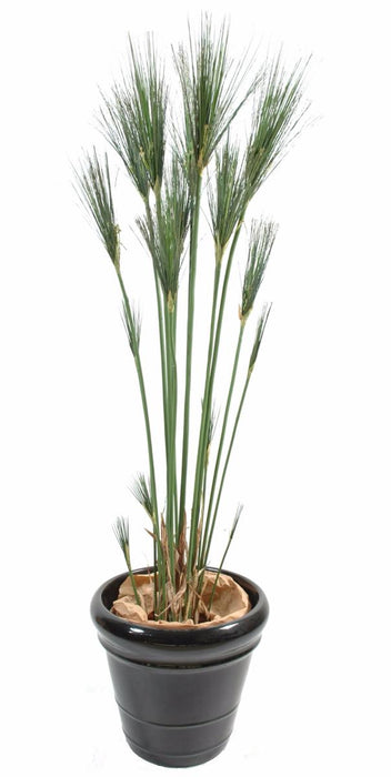 Kunstig Plante Papyrus Cyperus Indendørs 155Cm