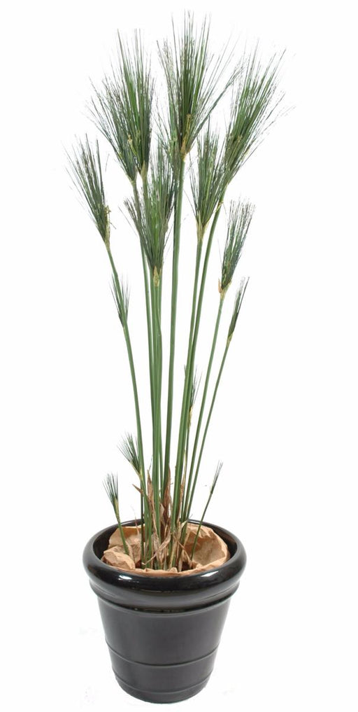 Kunstig Plante Papyrus Cyperus Indendørs 155Cm