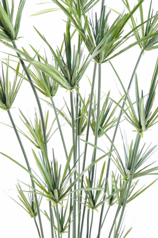 Kunstig Plante Papyrus Grøn 110 Cm Indvendig Dekoration