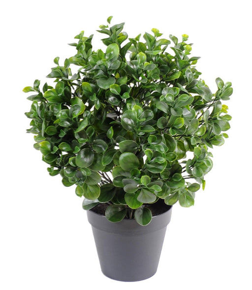 Kunstig Peperomia Plante 60 Cm Til Indendørs Udendørs