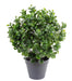 Kunstig Peperomia Plante 60 Cm Til Indendørs Udendørs