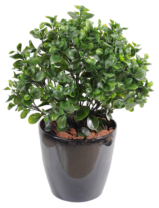 Kunstig Peperomia Plante 60 Cm Til Indendørs Udendørs