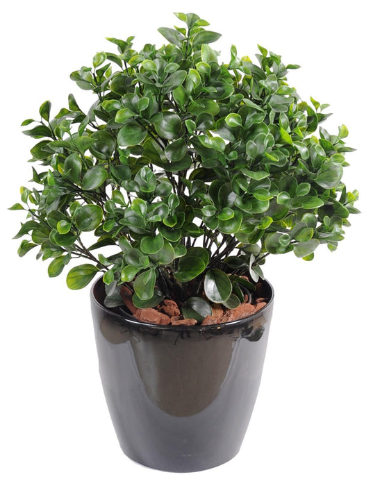 Kunstig Peperomia Plante 60 Cm Til Indendørs Udendørs