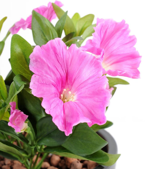 Kunstig Plante Petunia Fuchsia 25 Cm På Bål
