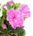 Kunstig Plante Petunia Fuchsia 25 Cm På Bål
