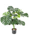 Kunstig Plante Philodendron 15 Blade 95 Cm