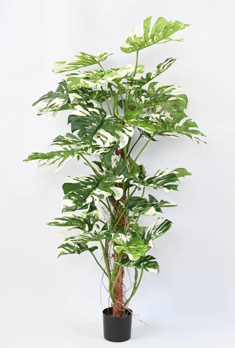 Kunstig Philodendron Plante 160Cm Med Kokospæl