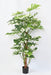 Kunstig Philodendron Plante 160Cm Med Kokospæl