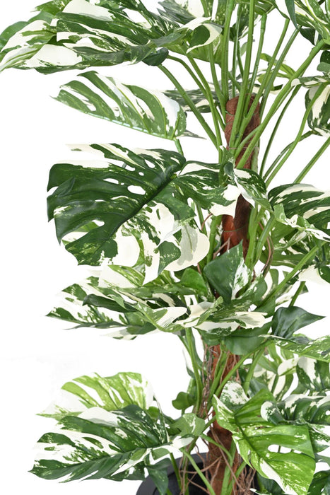 Kunstig Philodendron Plante 160Cm Med Kokospæl