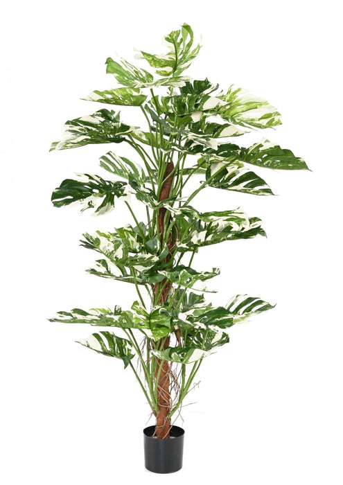 Kunstig Philodendron Plante 160Cm Med Kokospæl