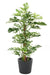 Kunstig Philodendron Plante 160Cm Med Kokospæl