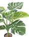 Kunstig Plante Philodendron 75 Cm Indvendig Dekoration