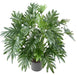 Kunstig Plante Philodendron 75Cm Grønt Løv
