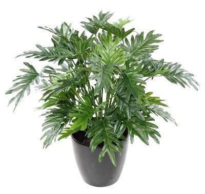 Kunstig Plante Philodendron 75Cm Grønt Løv